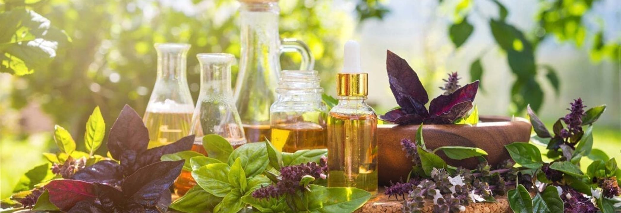 Herbs site image