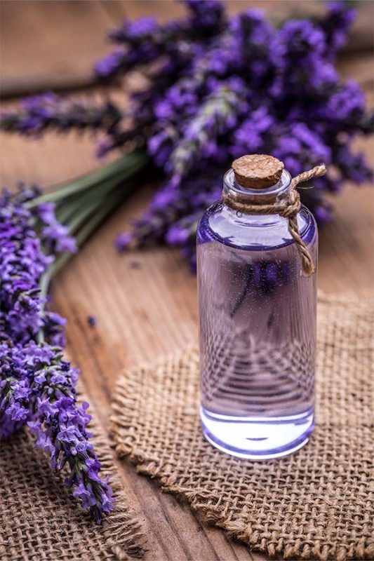lavender essential oil 100 10ml bg